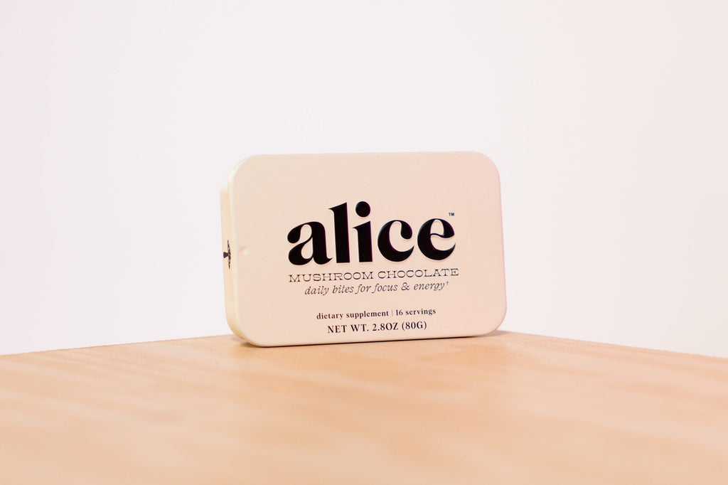 Alice Mushrooms Brainstorm