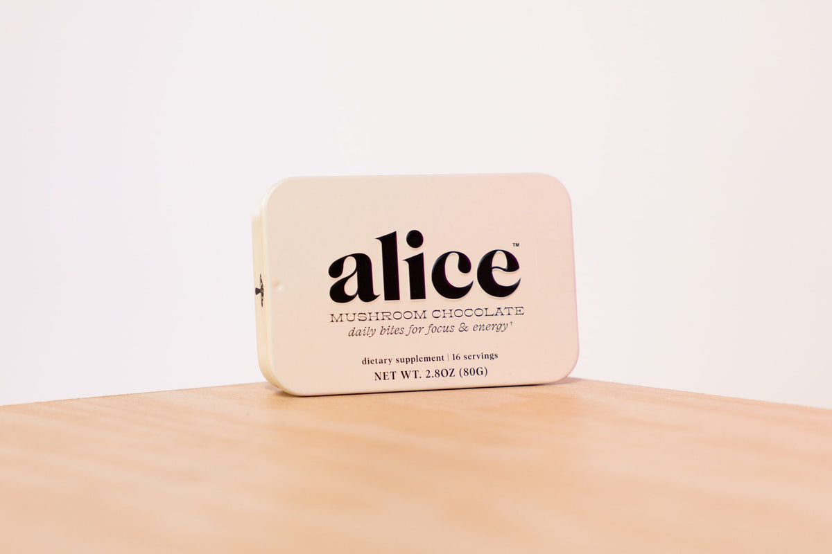 Alice Mushrooms Brainstorm